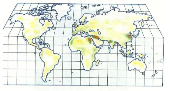 Planisfero delle prime città